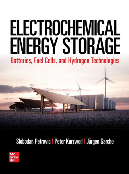 Electrochemical Energy Storage