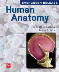 Title: Loose Leaf for Saladin Human Anatomy: 2024 Release, Author: Kenneth S. Saladin