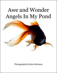 Title: Awe and Wonder Angels In My Pond, Author: Steve Morenos