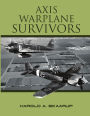 Axis Warplane Survivors