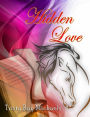 Hidden Love