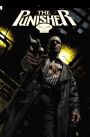 Punisher Max: The Complete Collection Vol. 3