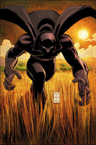 Title: BLACK PANTHER BY REGINALD HUDLIN OMNIBUS JOHN ROMITA JR. COVER, Author: Reginald Hudlin