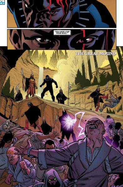 Black Panther: A Nation Under Our Feet [Marvel Premier Collection]