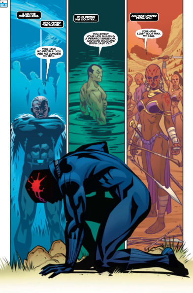 Black Panther: A Nation Under Our Feet [Marvel Premier Collection]