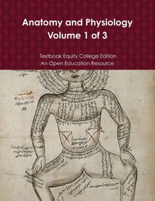 Anatomy And Physiology By Textbook Equity College Edition Paperback Barnes Noble