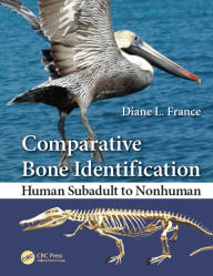 Title: Comparative Bone Identification: Human Subadult to Nonhuman, Author: Diane L. France