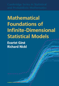 Title: Mathematical Foundations of Infinite-Dimensional Statistical Models, Author: Evarist Giné