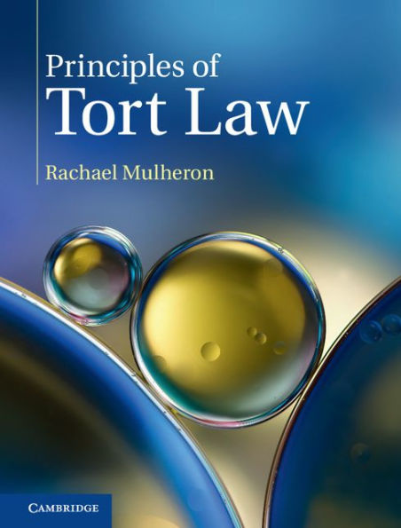 Principles of Tort Law