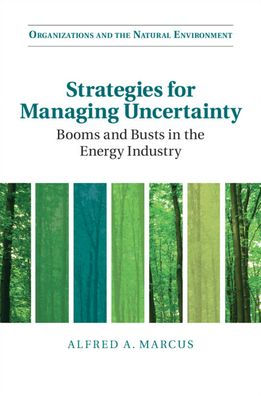 Strategies for Managing Uncertainty: Booms and Busts in the Energy Industry