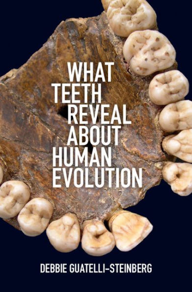 What Teeth Reveal about Human Evolution