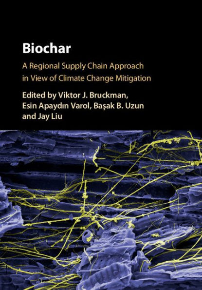 Biochar: A Regional Supply Chain Approach in View of Climate Change Mitigation