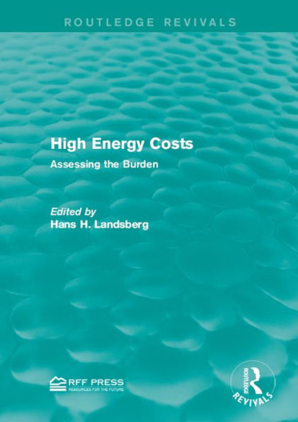 High Energy Costs: Assessing the Burden