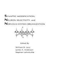 Title: Synaptic Modification, Neuron Selectivity, and Nervous System Organization, Author: William B. Levy