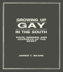 Growing Up Gay in the South: Race, Gender, and Journeys of the Spirit