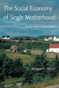 Title: The Social Economy of Single Motherhood: Raising Children in Rural America, Author: Margaret Nelson
