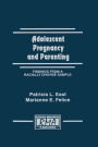 Adolescent Pregnancy and Parenting: Findings From A Racially Diverse Sample