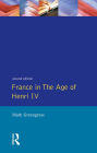 France in the Age of Henri IV: The Struggle for Stability