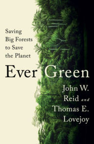 Free book finder download Ever Green: Saving Big Forests to Save the Planet RTF MOBI (English literature)