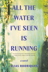 French audio books free download All the Water I've Seen Is Running: A Novel by Elias Rodriques 9781324021926