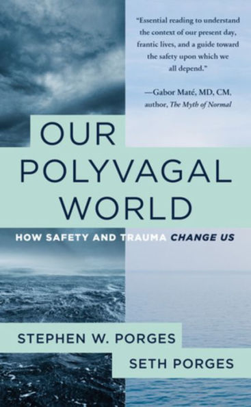 Our Polyvagal World: How Safety and Trauma Change Us