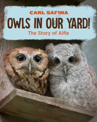 Read downloaded books on ipad Owls in Our Yard!: The Story of Alfie