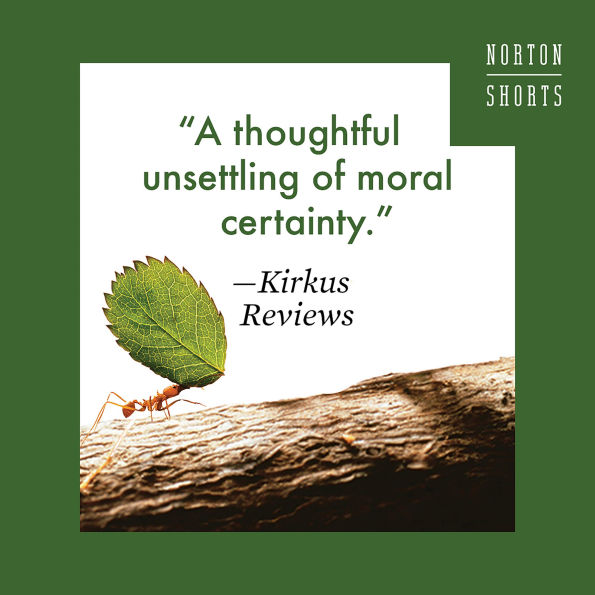 The Moral Circle: Who Matters, What and Why