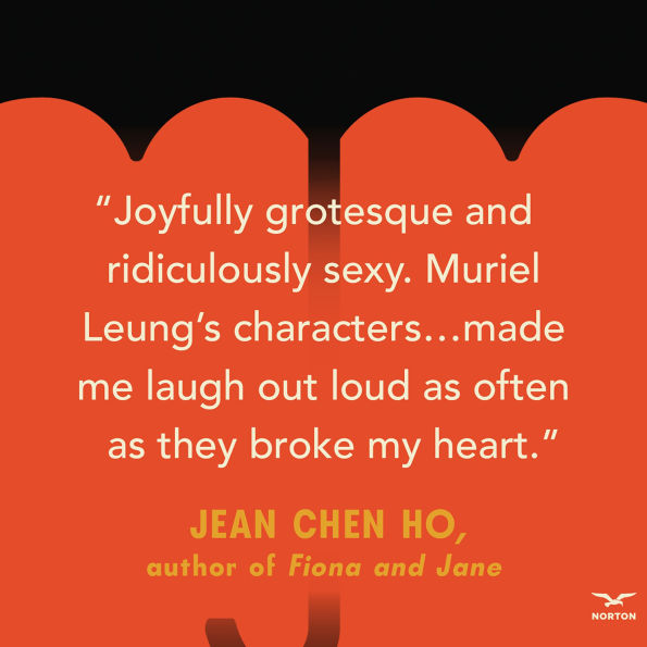 How to Fall Love A Time of Unnameable Disaster: Novel