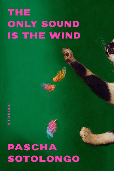 the Only Sound Is Wind: Stories