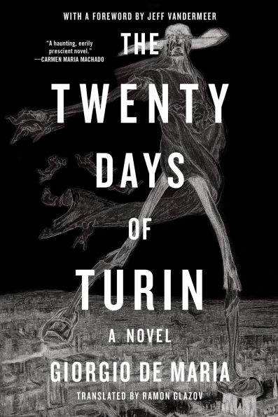 The Twenty Days of Turin: A Novel