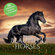 Title: Beautiful Horses: 25 Gorgeous Photos, Author: Sticky Lolly