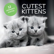Title: 2025 Cutest Kittens Wall Calendar: 12 Adorable Kitten Photos, Author: Sticky Lolly