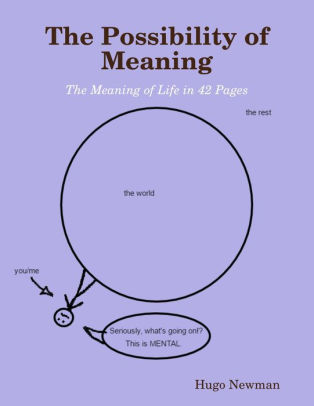 The Possibility Of Meaning By Hugo Newman Nook Book Ebook Barnes Noble