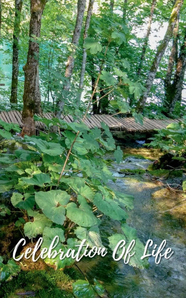 Celebration Of Life Woodland Stream: Memorial Funeral Book of Remembrance, Condolence, Guest Messages