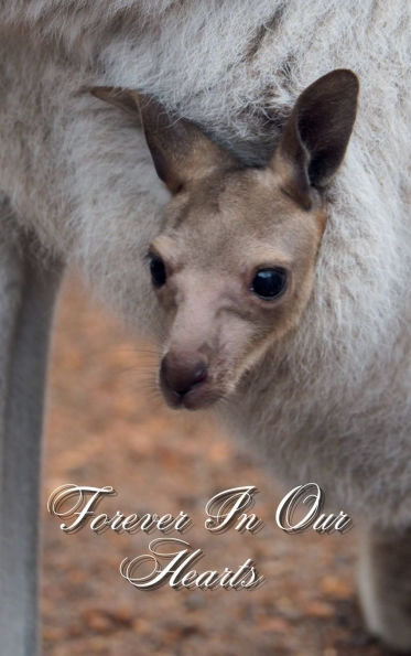 Forever In Our Hearts Baby Joey Kangaroo: Memorial Funeral Book of Remembrance, Condolence, Guest Messages