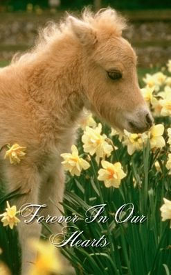 Forever In Our Hearts Baby Pony Horse: Memorial Funeral Book of Remembrance, Condolence, Guest Messages