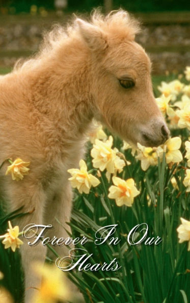 Forever In Our Hearts Baby Pony Horse: Memorial Funeral Book of Remembrance, Condolence, Guest Messages