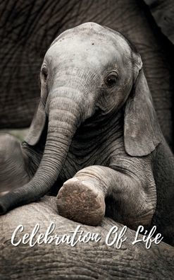 Celebration Of Life Baby Peekaboo Elephant: Memorial Funeral Book of Remembrance, Condolence, Guest Messages