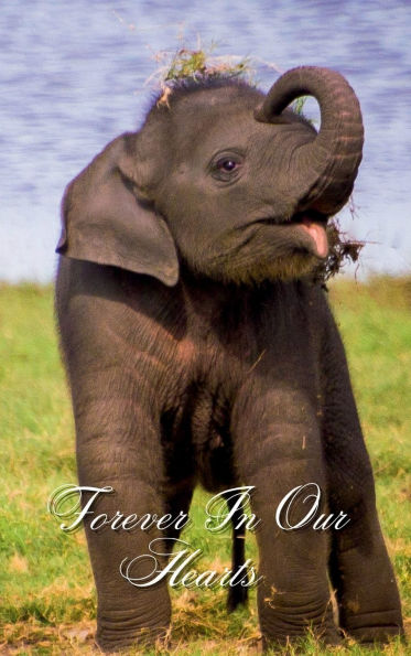 Forever In Our Hearts Baby Elephant Flowers: Memorial Funeral Book of Remembrance, Condolence, Guest Messages