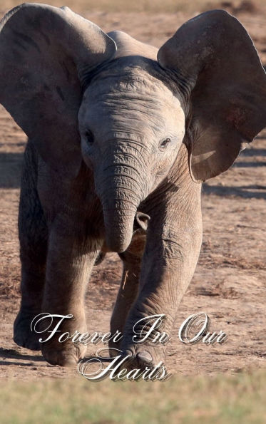 Forever In Our Hearts Baby Elephant Comes: Memorial Funeral Book of Remembrance, Condolence, Guest Messages
