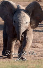 Forever In Our Hearts Baby Elephant Comes: Memorial Funeral Book of Remembrance, Condolence, Guest Messages