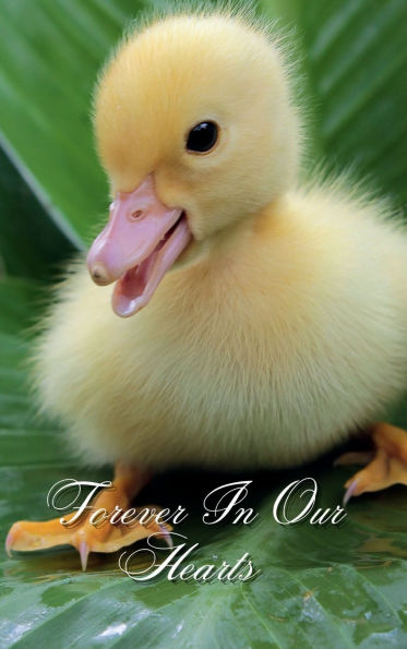 Forever In Our Hearts Fluffy Duckling: Memorial Funeral Book of Remembrance, Condolence, Guest Messages