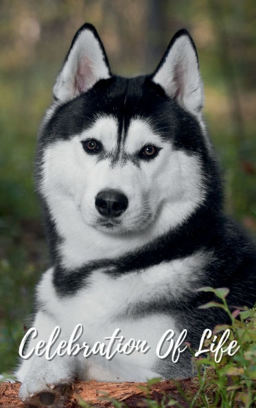 Celebration Of Life Husky Dog: Memorial Funeral Book of Remembrance, Condolence, Guest Messages
