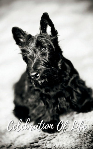 Celebration Of Life Black Scotty Dog: Memorial Funeral Book of Remembrance, Condolence, Guest Messages