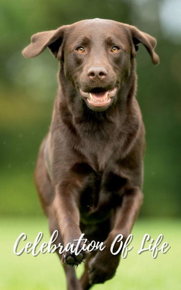 Celebration Of Life Labrador Dog: Memorial Funeral Book of Remembrance, Condolence, Guest Messages