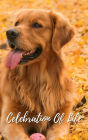 Celebration Of Life Golden Retriever Dog: Memorial Funeral Book of Remembrance, Condolence, Guest Messages