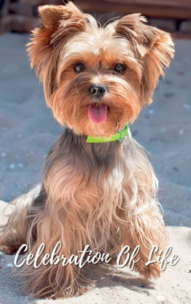 Celebration Of Life Yorkshire Terrier: Memorial Funeral Book of Remembrance, Condolence, Guest Messages