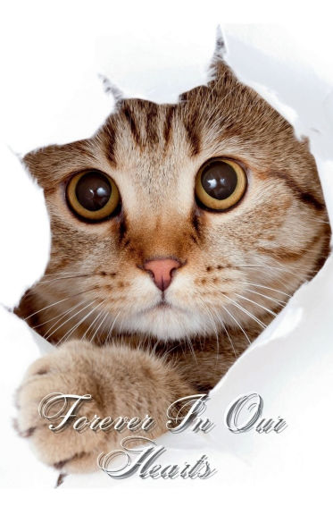 Forever In Our Hearts Peekaboo Cat: Memorial Funeral Book of Remembrance, Condolence, Guest Messages