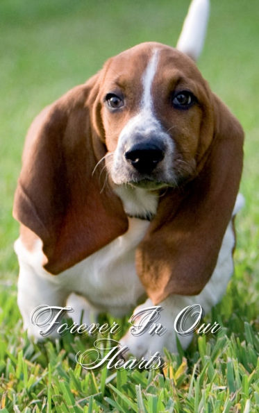 Forever In Our Hearts Basset Hound Dog: Memorial Funeral Book of Remembrance, Condolence, Guest Messages