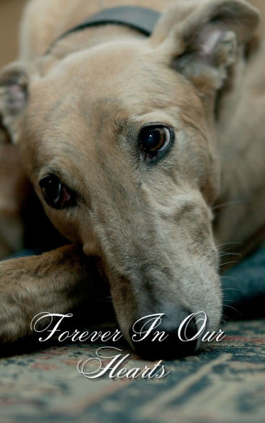 Forever In Our Hearts Greyhound Dog: Memorial Funeral Book of Remembrance, Condolence, Guest Messages